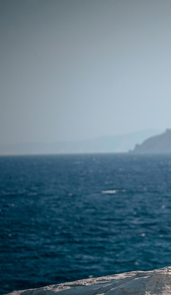 amandinewonderland apropos4